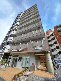 ポールスターの画像