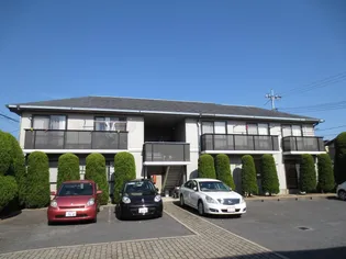 アヴェニーダパレスA【1階】の外観