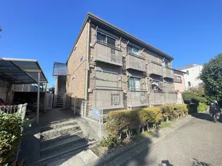 クリプトメリアの画像