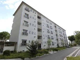 UR金剛団地 130号棟の画像