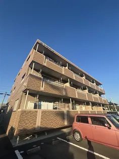 エトワールの画像