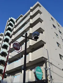 M`Sビクトリーの画像