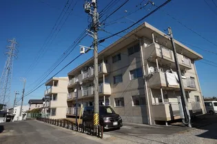 アイリス八橋の画像