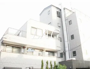 スカイフジの画像