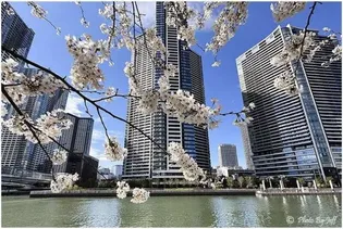 DEUX TOURS CANAL&SPA WEST【35階】の外観