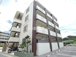 サンフラワー丸市IVの画像