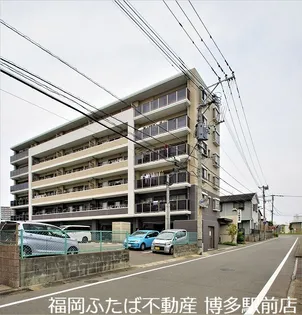 POND MUM MATSUSHIMAの画像