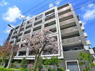 ALLIES MEADOWの画像