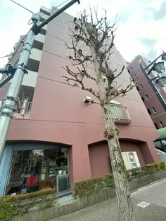 グリーンハイツ金町の画像