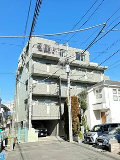 ブルームの画像