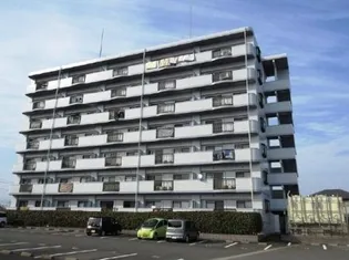 ピーチフローレⅢの画像