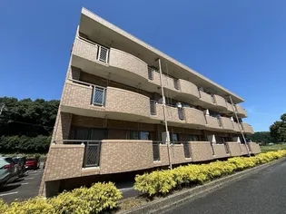 LOTOS BLUMEの画像