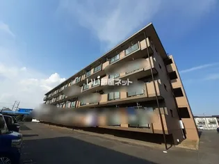 フィオーレマキの画像