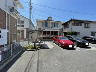 プリムローズ K Bの画像