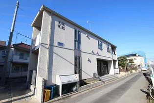 アルカネットの画像