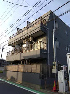 ピュア国立の画像