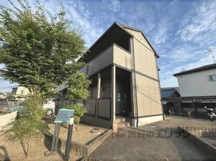 ピノヴェルデの画像
