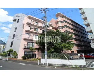 チェリーコート岡野【4階】の外観