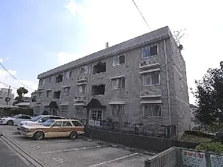 パル橘の画像