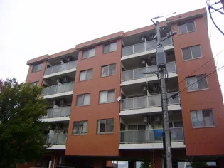 渡幸ベルメゾンDOG&CATの画像