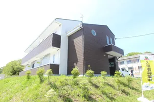 IL COMPAGNO Ⅱの画像