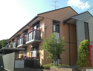 パルフラッツ沙羅の画像