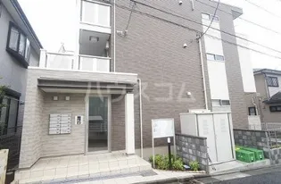 サンフラワーの画像