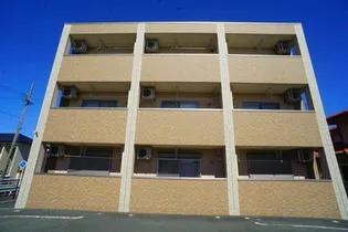 アイベックス ナインの画像