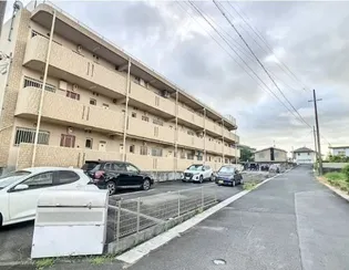 すまゐるの画像