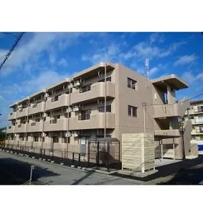 Y&Mスターの画像