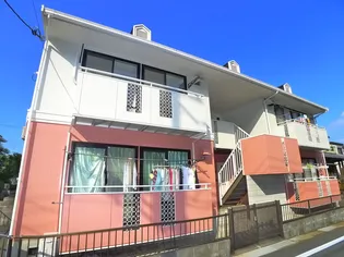 ペアグレースサクラ Bの画像