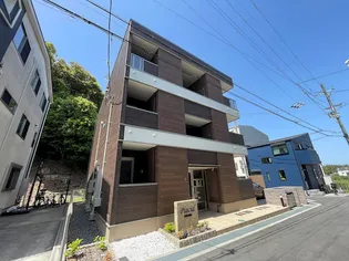 プラシードの画像