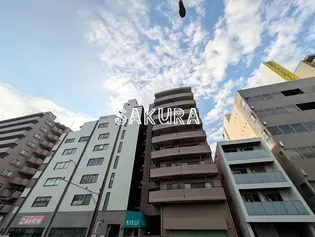 アムールの画像