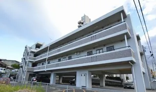 ドエル白土の画像