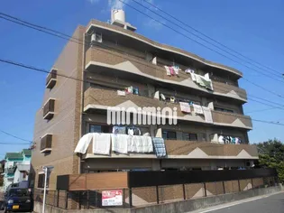 サンサーラキトーIIIの画像