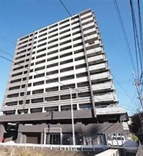 フェルトの画像