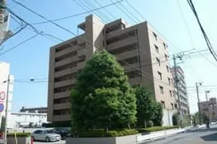 ドルフの画像