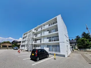 カクニシビルズの画像