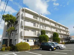 カーリク II【4階】の外観