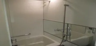 Brilliaタワー東京【5階】の風呂