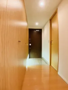 Brilliaタワー東京【5階】の内装