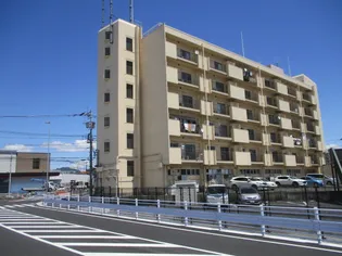 宇都宮ロイヤルコーポ(リノベーション)【6階】の外観