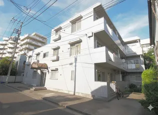 エクセル弥生の画像