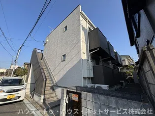 オーク フォレストの画像