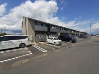 タマリスクの画像