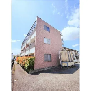 エヴァーグリーンの画像