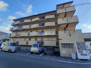 グレース喜泉の画像