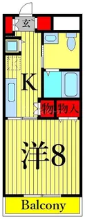 ベラルーサ13番館【2階】の間取り