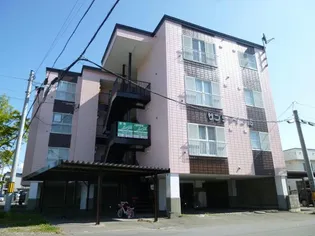 サンシャイン15の画像