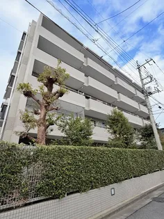 ロイヤルステージ北浦和IIの画像